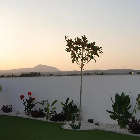 Kokona Larnaca Vila *